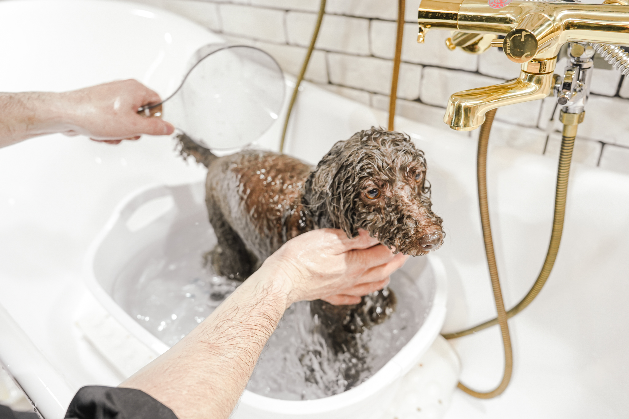 保湿成分たっぷりモイストバス