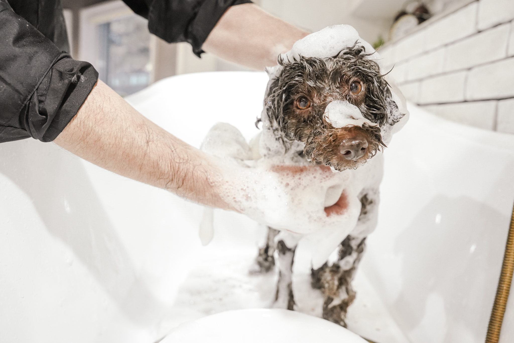 アップル酵素入り炭酸泉