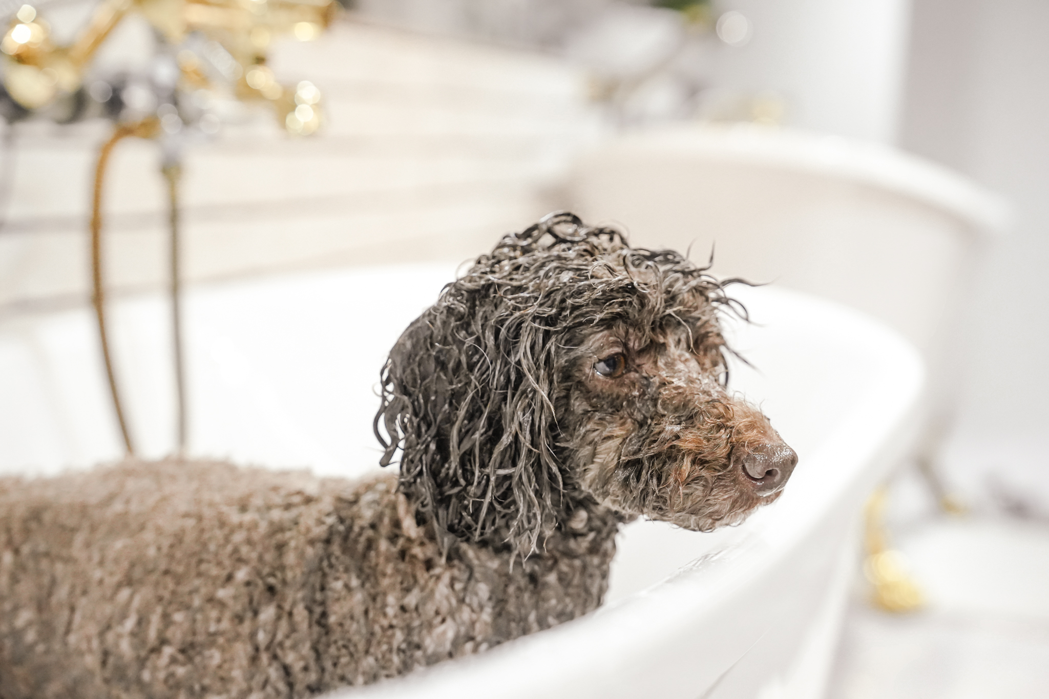 シルク&アップル酵素入り泡風呂