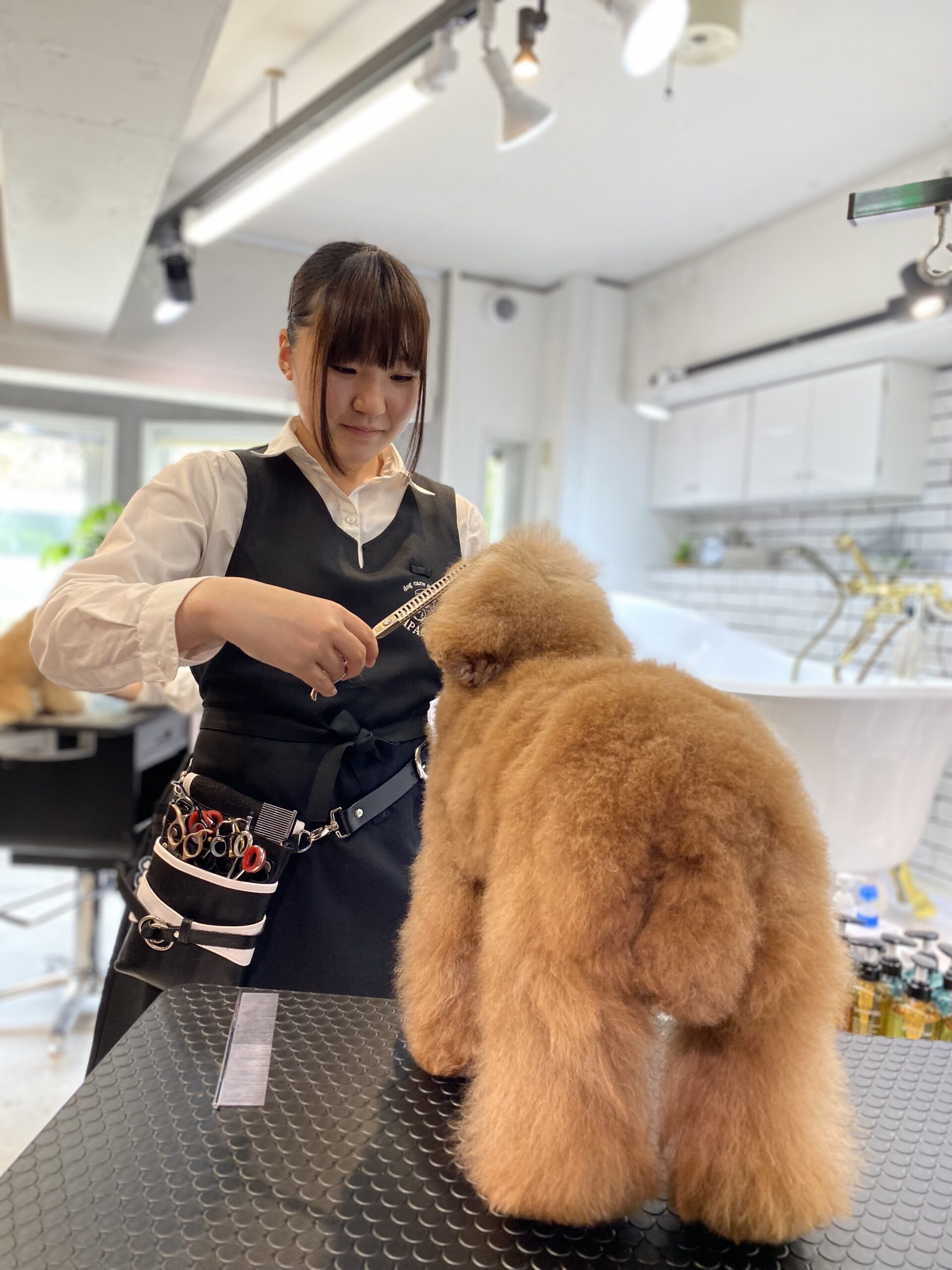 PAPA de GIGIのトリマーによる施術